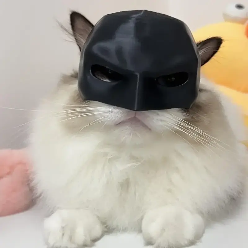Bat Design Cat Mask, Funny Bat Cat Avenger Mask, Festival Costumes Accessories for Cats, Bat Cat Cosplay Apparel, Pet Supplie...