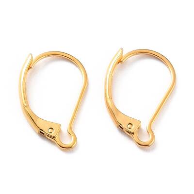 304 Stainless Steel Leverback Earring Findings