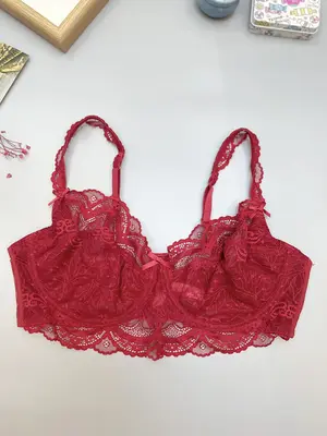 Plus Size Bow Decor Floral Lace Push Up Bra, Sexy Adjustable Strap Sheer Lingerie Top for Women, Women's Lingerie for All Sea...
