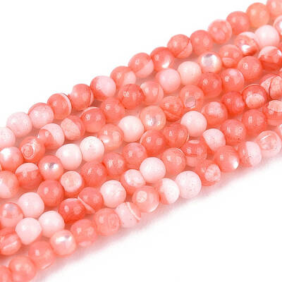 Dyed Natural Trochid Shell/Trochus Shell Beads Strands