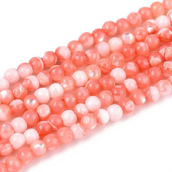 Dyed Natural Trochid Shell/Trochus Shell Beads Strands