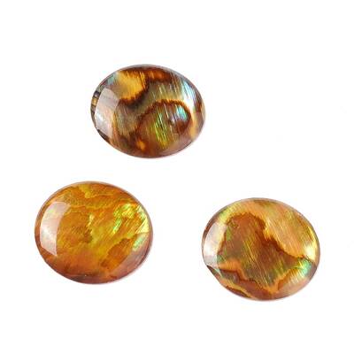 Paua Shell Cabochons