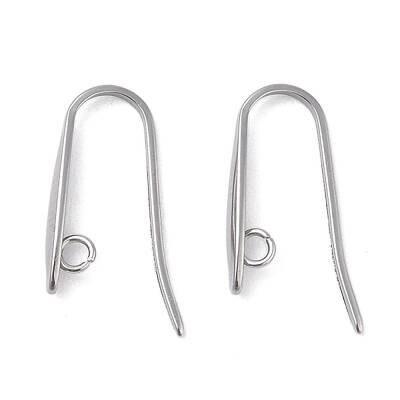 Non-Tarnish 304 Stainless Steel Earring Hooks