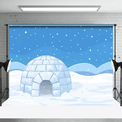 Arctic Snowy Landscape Polar Igloo Photo Backdrop - Aperturee