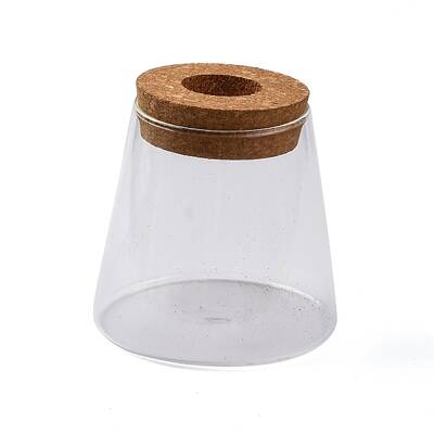 Glass Planter Vase with Wooden Lid