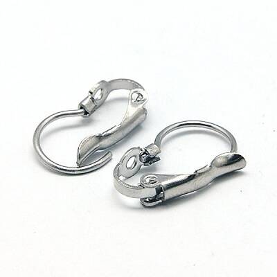 Tarnish Resistant 304 Stainless Steel Leverback Earring Findings