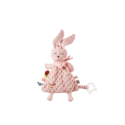 Baby Comfort Blanket & Toys