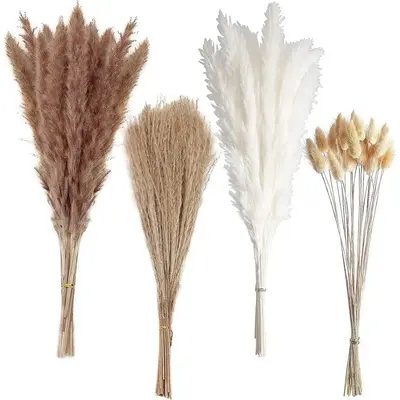 Natural Dried Pampas Grass (100pcs), Home Decorative Grass, Dried Pampas Grass for Home Table Decoration, Party Decor, Room D...
