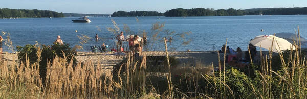 History and Hidden Spots: A Scenic Scharmützelsee Cycle