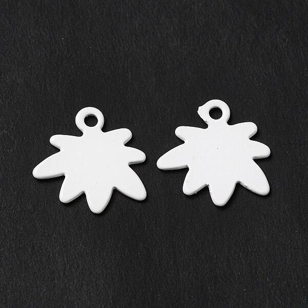 Spray Painted 201 Stainless Steel Charms