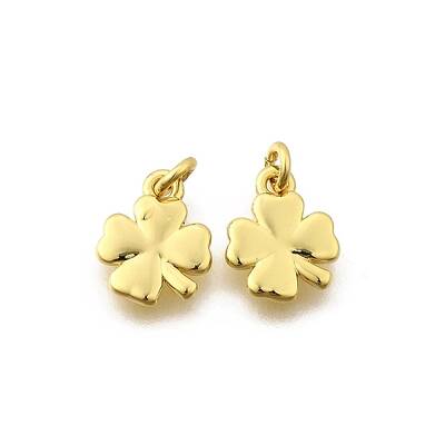 Brass Charms