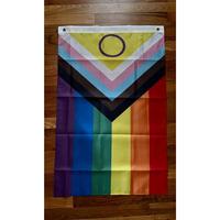 Intersex Inclusive Progress Pride Wall Flag 2 x 3 ft Poly
