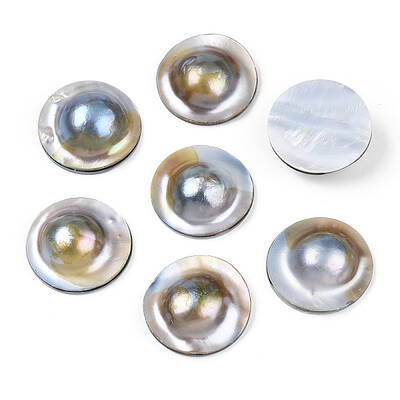 Natural Shell Cabochons