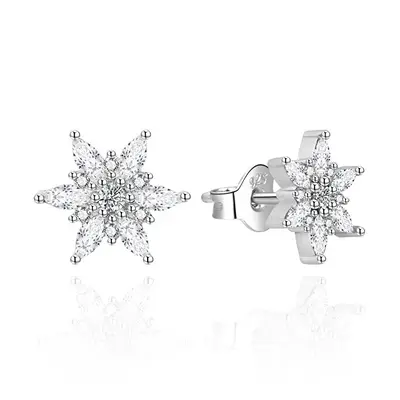 Agato Fascinating Silver Snowflake Earrings AGT-E003PW