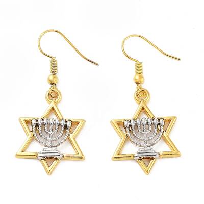 Alloy Dangle Earrings