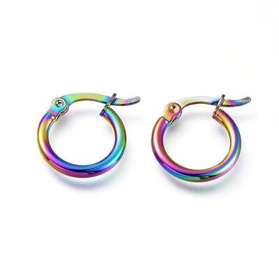 201 Stainless Steel Hoop Earrings