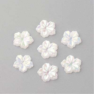 Acrylic Cabochons