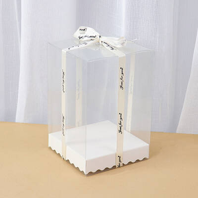 Rectangle Transparent Plastic Packaging Box