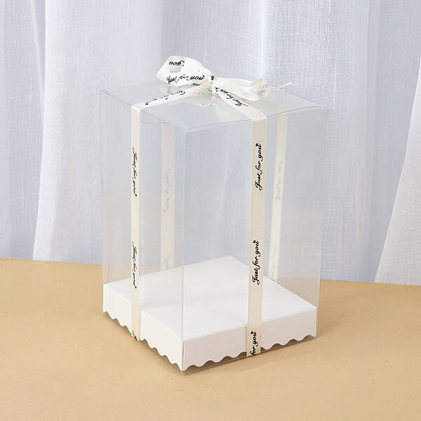 Rectangle Transparent Plastic Packaging Box