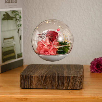 Table Lamp Magnetic Levitation Flower In Nightlight Ball Home Decor Gift Idea