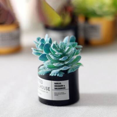 Resin Succulents Pot Model