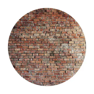 Aperturee Simple Brown Brick Round Birthday Party Backdrop