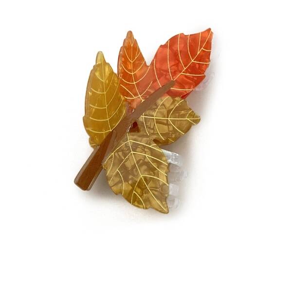 Animals & Plants Theme Cellulose Acetate Claw Hairs Clips