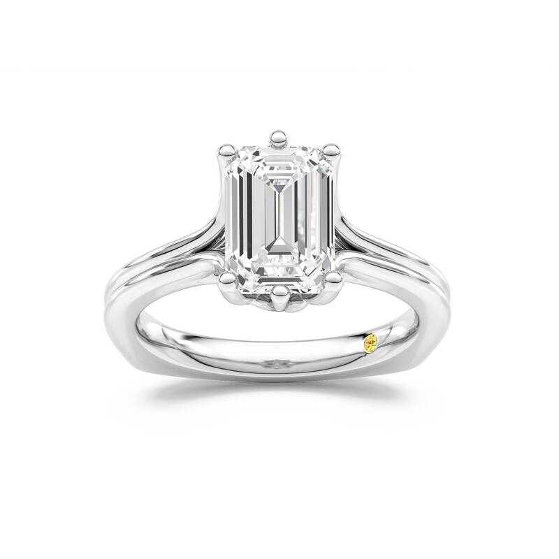Fleur Emerald Cut Lab Grown Diamond Engagement Ring | 10K White Gold 3 1/2 CT. TW.