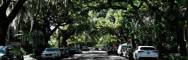 A Walk through Historic Savannah: From Chippewa Square to Forsyth Park