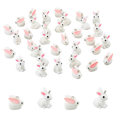 40Pcs 2 Styles Opaque Resin Pendants