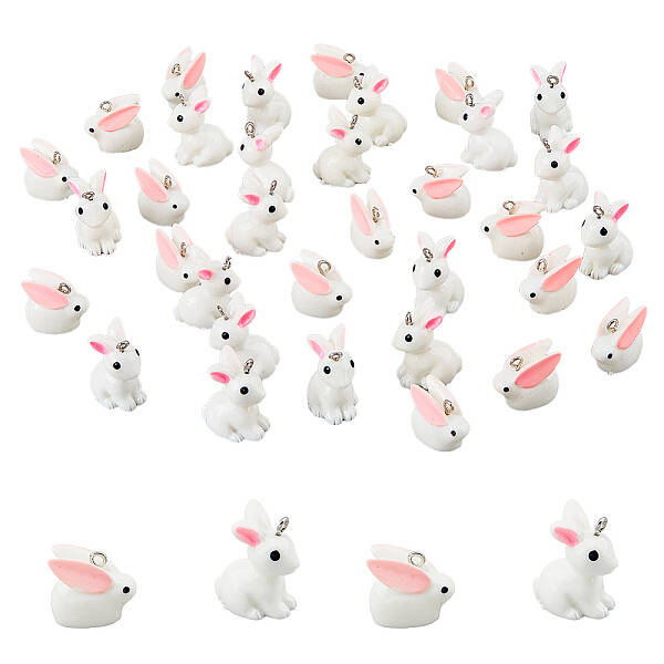 40Pcs 2 Styles Opaque Resin Pendants