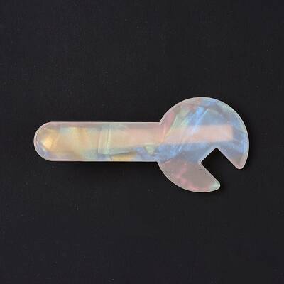Acrylic Alligator Hair Clips