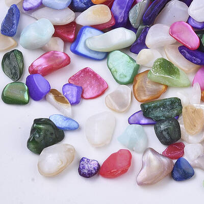 Natural Freshwater Shell Beads