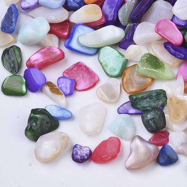 Natural Freshwater Shell Beads