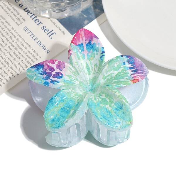 Resin Claw Hair Clips