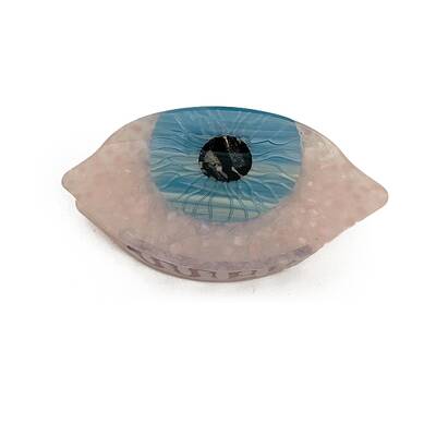 Cellulose Acetate(Resin) Claw Hair Clips