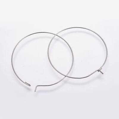 316 Surgical Stainless Steel Hoop Earrings Findings