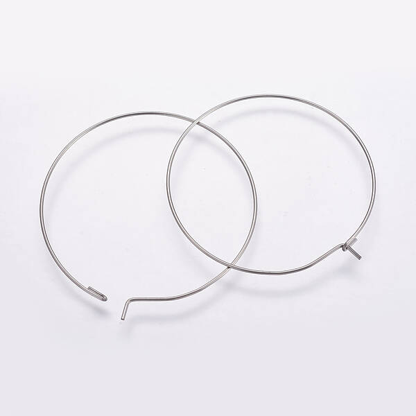 316 Surgical Stainless Steel Hoop Earrings Findings