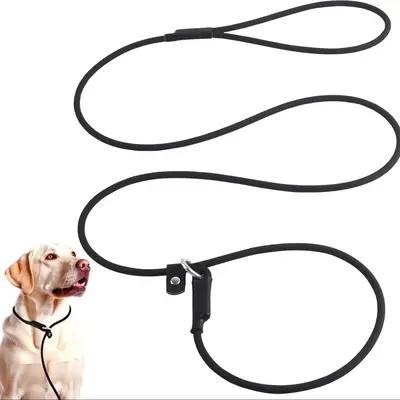 Nylon Dog Leash, Pet Lead With Buckle, Adjustable Pet Walking Leash for Dogs & Cats