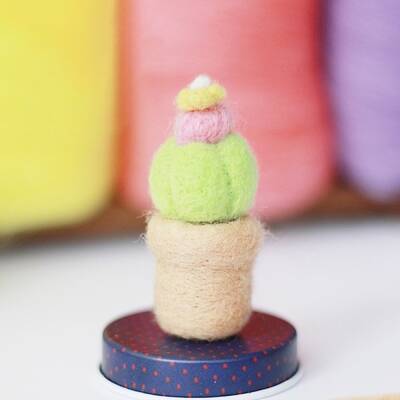 Cactus Needle Felting Kit