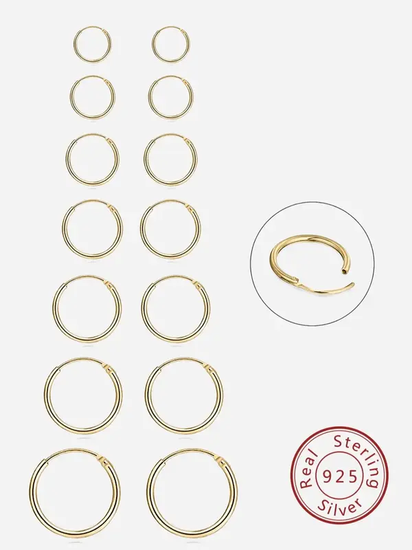 925 Sterling Silver Hoop Earrings, 2/6/8/14 Counts 2024 New Style Small Hoop Earrings, Jewelry for Women & Men, Birthday Gift...