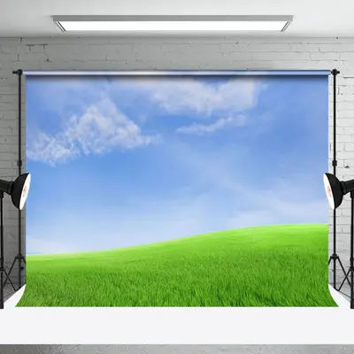Natural Landscape Of Grassland Under Blue Sky Backdrop - Aperturee