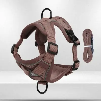 Pet Vest Harness & Leash, 1 Set Breathable Mesh Dog Harness With Reflective Strip, Dog & Cat Chest Strap, Pet Supplies For Ou...