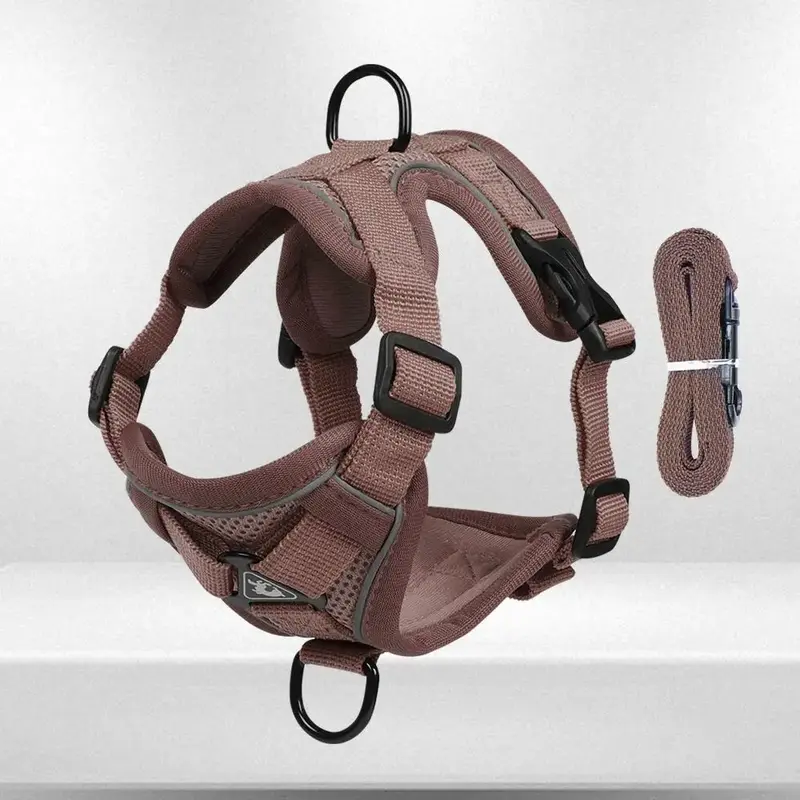 Pet Vest Harness & Leash, 1 Set Breathable Mesh Dog Harness With Reflective Strip, Dog & Cat Chest Strap, Pet Supplies For Ou...
