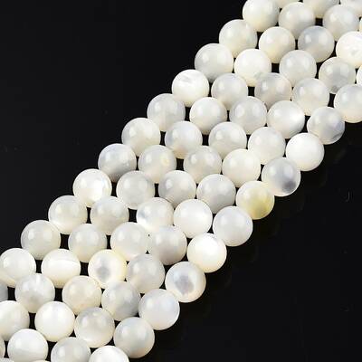 Natural White Shell Bead Strands