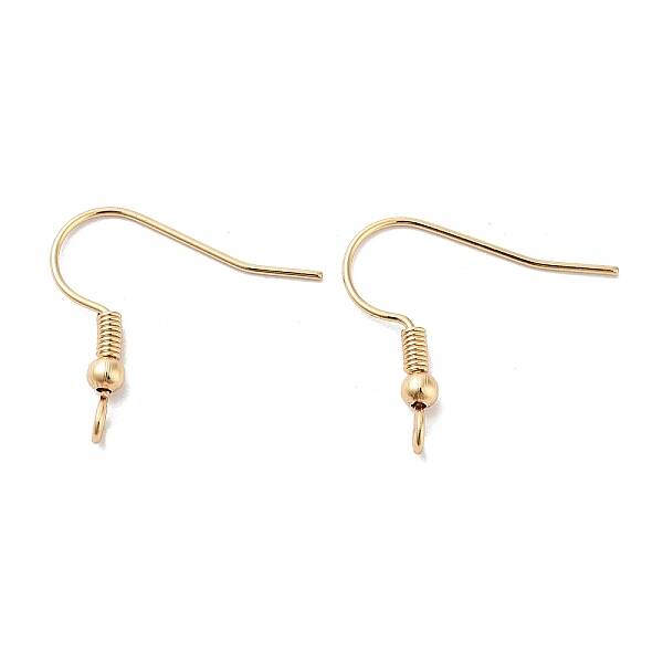 316 Surgical Stainless Steel French Earring Hooks