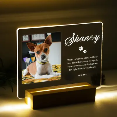 Custom Pet Memorial Gift - in Memory of Loss of Dog Sympathy Gift Night Light, Personalized LED Acrylic Plaque, Pet Loss Symp...