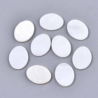 Natural Freshwater Shell Cabochons