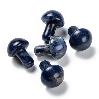 Natural Sodalite Mushroom Gua Sha Stone