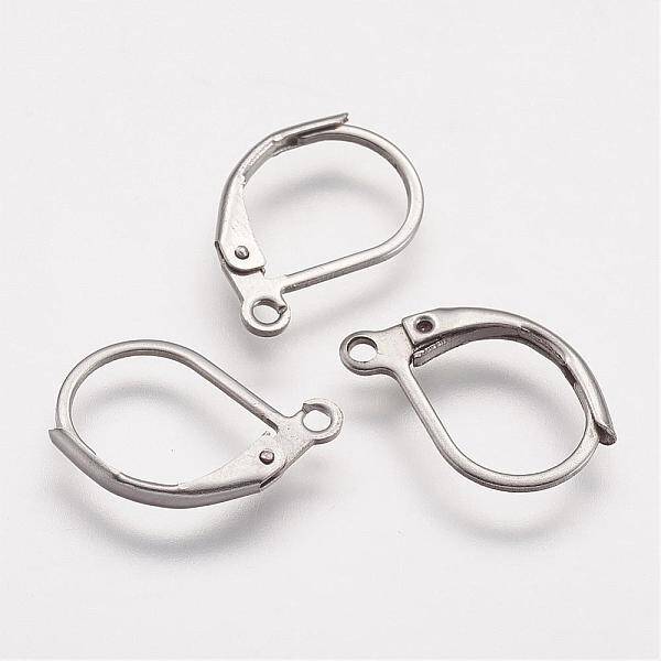 Tarnish Resistant 316 Surgical Stainless Steel Leverback Earring Findings